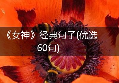 《女神》经典句子(优选60句)