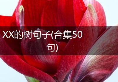 XX的树句子(合集50句)
