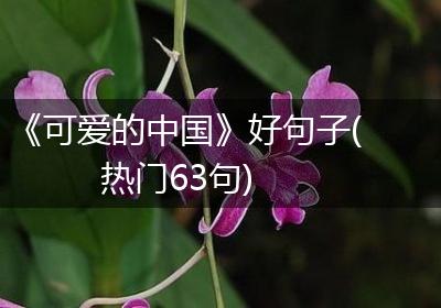 《可爱的中国》好句子(热门63句)