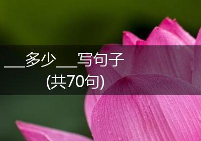 ___多少___写句子(共70句)