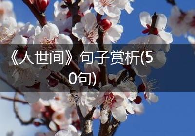 《人世间》句子赏析(50句)