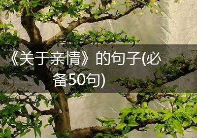 《关于亲情》的句子(必备50句)