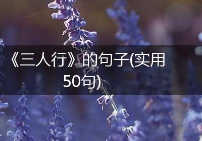 《三人行》的句子(实用50句)
