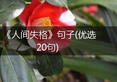 《人间失格》句子(优选20句)