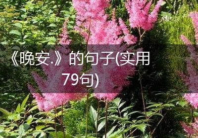 《晚安.》的句子(实用79句)