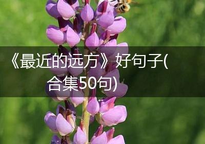 《最近的远方》好句子(合集50句)