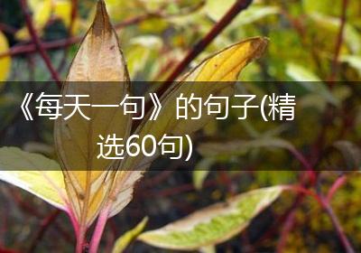 《每天一句》的句子(精选60句)