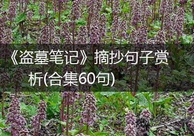 《盗墓笔记》摘抄句子赏析(合集60句)