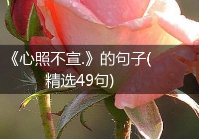 《心照不宣.》的句子(精选49句)