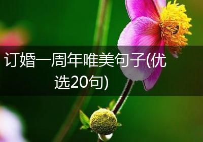 订婚一周年唯美句子(优选20句)