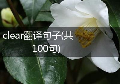 clear翻译句子(共100句)