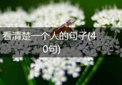 看清楚一个人的句子(40句)
