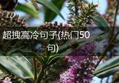 超拽高冷句子(热门50句)