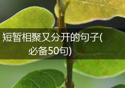 短暂相聚又分开的句子(必备50句)