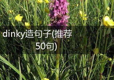 dinky造句子(推荐50句)