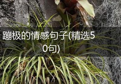 蹦极的情感句子(精选50句)
