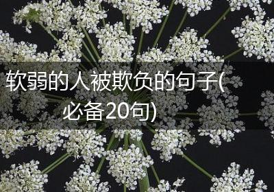 软弱的人被欺负的句子(必备20句)