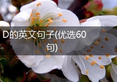 D的英文句子(优选60句)