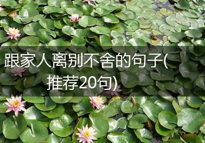 跟家人离别不舍的句子(推荐20句)