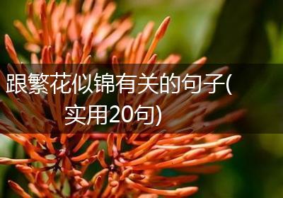 跟繁花似锦有关的句子(实用20句)