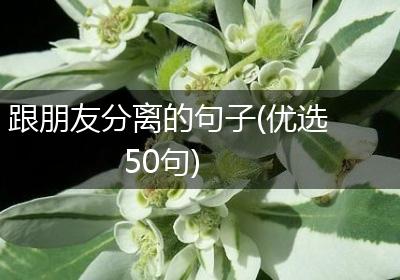 跟朋友分离的句子(优选50句)