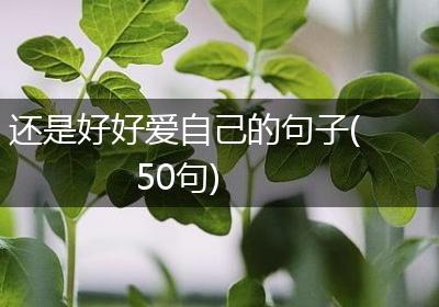 还是好好爱自己的句子(50句)