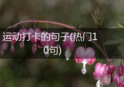 运动打卡的句子(热门10句)