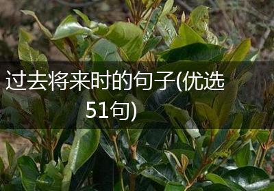 过去将来时的句子(优选51句)