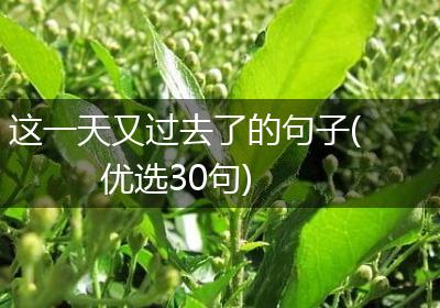 这一天又过去了的句子(优选30句)