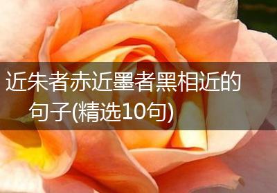 近朱者赤近墨者黑相近的句子(精选10句)