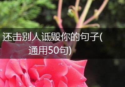 还击别人诋毁你的句子(通用50句)
