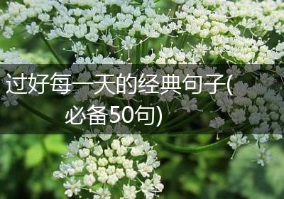过好每一天的经典句子(必备50句)