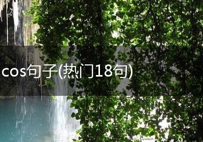cos句子(热门18句)