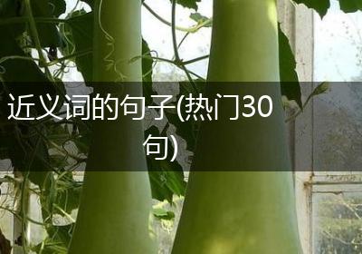 近义词的句子(热门30句)
