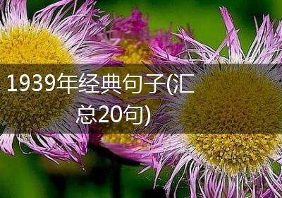 1939年经典句子(汇总20句)