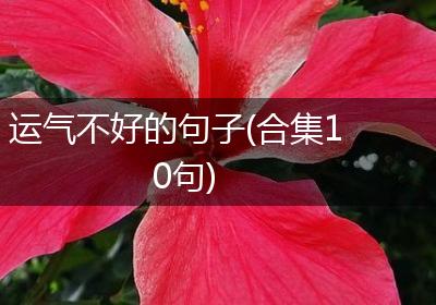 运气不好的句子(合集10句)