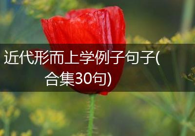 近代形而上学例子句子(合集30句)