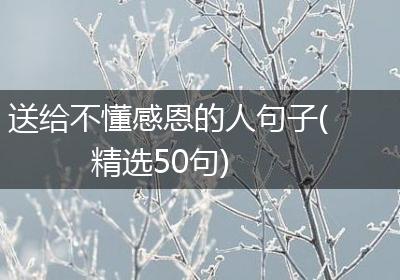 送给不懂感恩的人句子(精选50句)