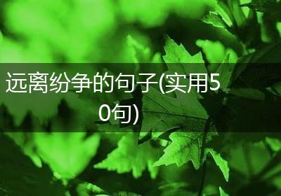 远离纷争的句子(实用50句)