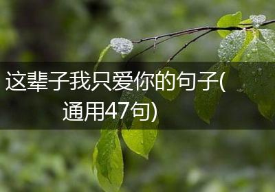这辈子我只爱你的句子(通用47句)