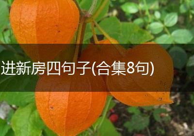 进新房四句子(合集8句)