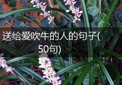 送给爱吹牛的人的句子(50句)