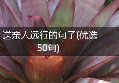 送亲人远行的句子(优选50句)