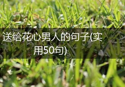 送给花心男人的句子(实用50句)