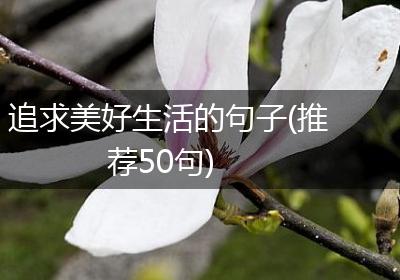 追求美好生活的句子(推荐50句)