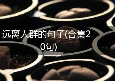 远离人群的句子(合集20句)