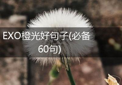 EXO橙光好句子(必备60句)