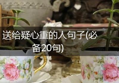 送给疑心重的人句子(必备20句)