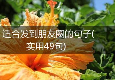 适合发到朋友圈的句子(实用49句)