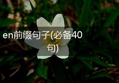 en前缀句子(必备40句)